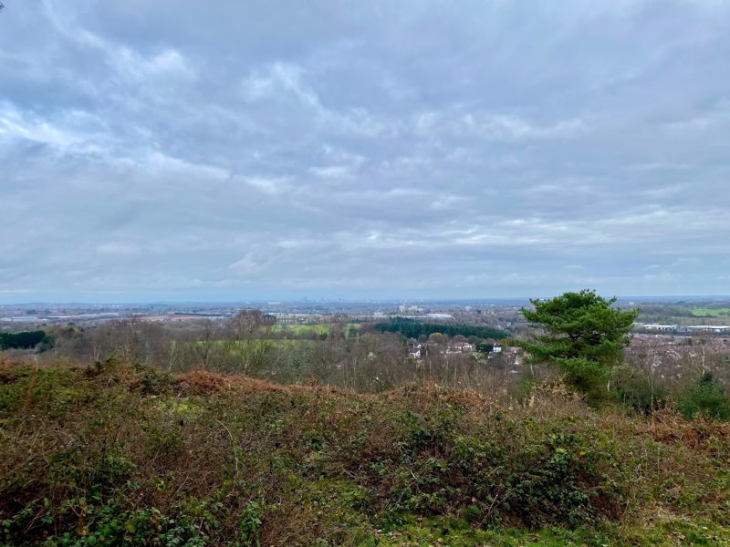 View towards Birmingham from Lickey Hills Park